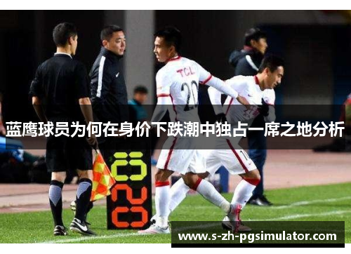 蓝鹰球员为何在身价下跌潮中独占一席之地分析