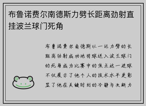 布鲁诺费尔南德斯力劈长距离劲射直挂波兰球门死角